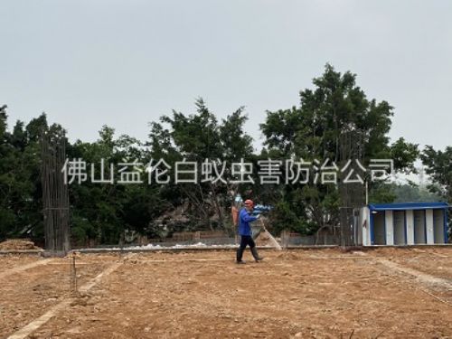 順德地基新建預(yù)防白蟻工程